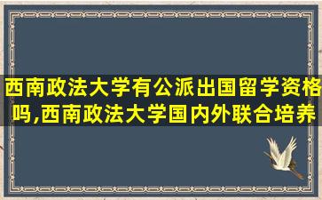 西南政法大学有公派出国留学资格吗,西南政法大学国内外联合培养硕士生项目