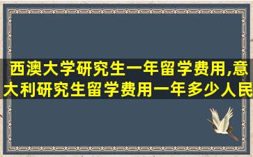 西澳大学研究生一年留学费用,意大利研究生留学费用一年多少人民币