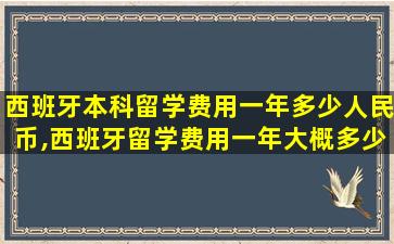 西班牙本科留学费用一年多少人民币,西班牙留学费用一年大概多少人民币