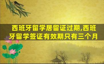 西班牙留学居留证过期,西班牙留学签证有效期只有三个月