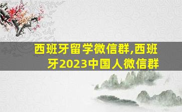 西班牙留学微信群,西班牙2023中国人微信群