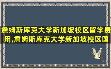 詹姆斯库克大学新加坡校区留学费用,詹姆斯库克大学新加坡校区国内认证吗