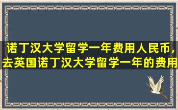 诺丁汉大学留学一年费用人民币,去英国诺丁汉大学留学一年的费用是