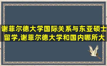 谢菲尔德大学国际关系与东亚硕士留学,谢菲尔德大学和国内哪所大学相当