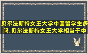 贝尔法斯特女王大学中国留学生多吗,贝尔法斯特女王大学相当于中国什么水平