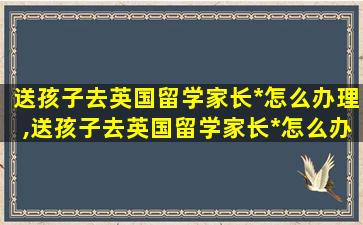 送孩子去英国留学家长*
怎么办理,送孩子去英国留学家长*
怎么办理手续