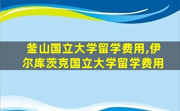 釜山国立大学留学费用,伊尔库茨克国立大学留学费用