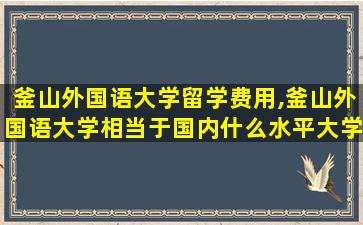 釜山外国语大学留学费用,釜山外国语大学相当于国内什么水平大学