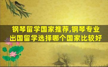 钢琴留学国家推荐,钢琴专业出国留学选择哪个国家比较好