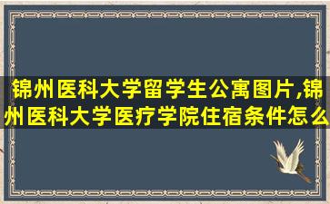 锦州医科大学留学生公寓图片,锦州医科大学医疗学院住宿条件怎么样