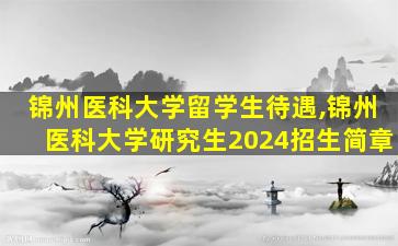 锦州医科大学留学生待遇,锦州医科大学研究生2024招生简章