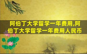 阿伯丁大学留学一年费用,阿伯丁大学留学一年费用人民币