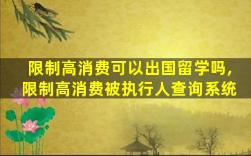 限制高消费可以出国留学吗,限制高消费被执行人查询系统