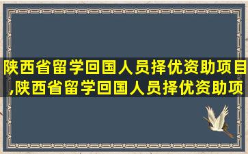 陕西省留学回国人员择优资助项目,陕西省留学回国人员择优资助项目评选结果