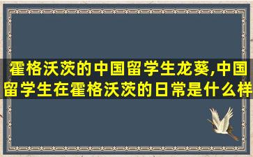 霍格沃茨的中国留学生龙葵,中国留学生在霍格沃茨的日常是什么样的