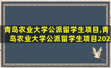 青岛农业大学公派留学生项目,青岛农业大学公派留学生项目2023