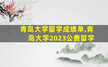 青岛大学留学成绩单,青岛大学2023公费留学