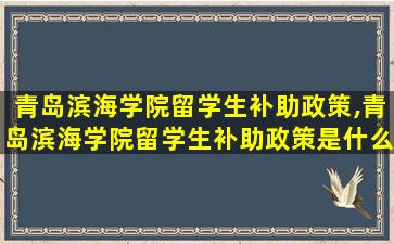 青岛滨海学院留学生补助政策,青岛滨海学院留学生补助政策是什么