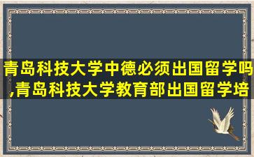 青岛科技大学中德必须出国留学吗,青岛科技大学教育部出国留学培训基地