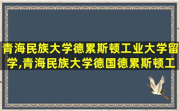 青海民族大学德累斯顿工业大学留学,青海民族大学德国德累斯顿工业大学