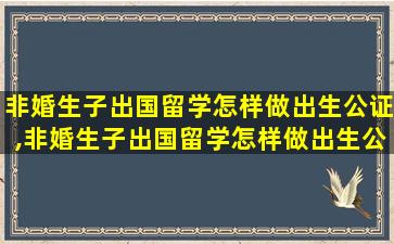 非婚生子出国留学怎样做出生公证,非婚生子出国留学怎样做出生公证