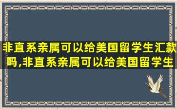 非直系亲属可以给美国留学生汇款吗,非直系亲属可以给美国留学生汇款吗