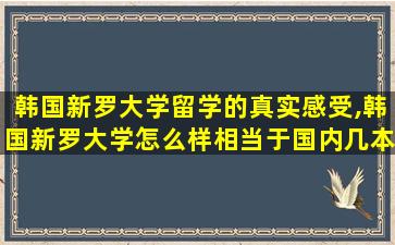 韩国新罗大学留学的真实感受,韩国新罗大学怎么样相当于国内几本大学