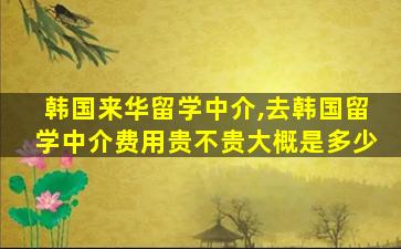 韩国来华留学中介,去韩国留学中介费用贵不贵大概是多少