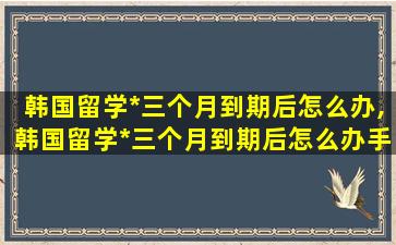 韩国留学*
三个月到期后怎么办,韩国留学*
三个月到期后怎么办手续