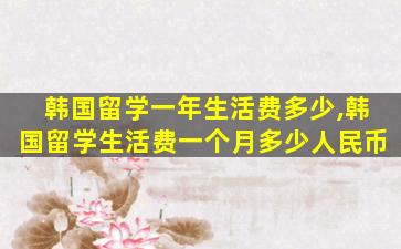 韩国留学一年生活费多少,韩国留学生活费一个月多少人民币