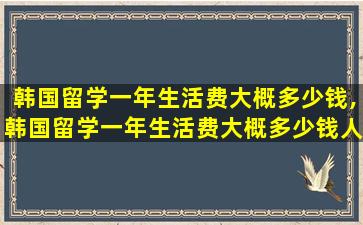 韩国留学一年生活费大概多少钱,韩国留学一年生活费大概多少钱人民币