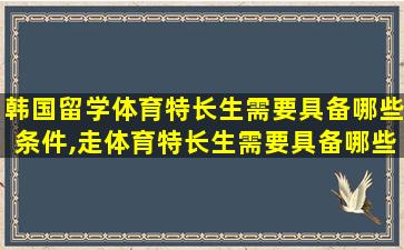 韩国留学体育特长生需要具备哪些条件,走体育特长生需要具备哪些条件