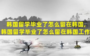 韩国留学毕业了怎么留在韩国,韩国留学毕业了怎么留在韩国工作