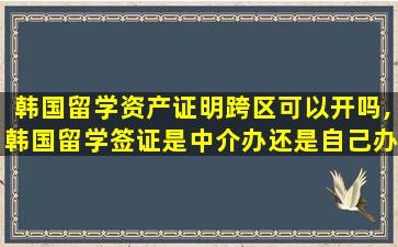 韩国留学资产证明跨区可以开吗,韩国留学签证是中介办还是自己办