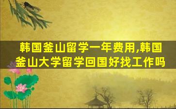 韩国釜山留学一年费用,韩国釜山大学留学回国好找工作吗