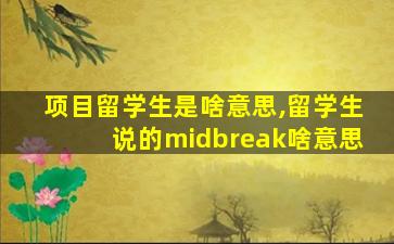 项目留学生是啥意思,留学生说的midbreak啥意思