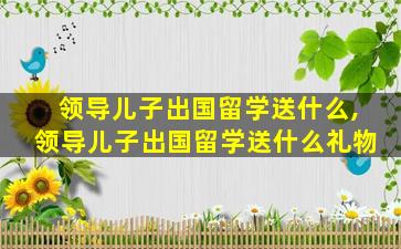 领导儿子出国留学送什么,领导儿子出国留学送什么礼物