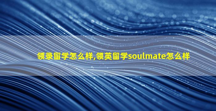 领录留学怎么样,领英留学soulmate怎么样