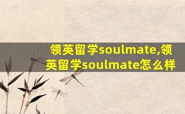 领英留学soulmate,领英留学soulmate怎么样