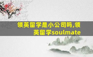 领英留学是小公司吗,领英留学soulmate