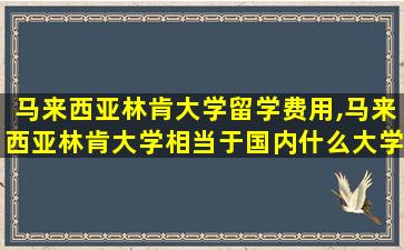 马来西亚林肯大学留学费用,马来西亚林肯大学相当于国内什么大学