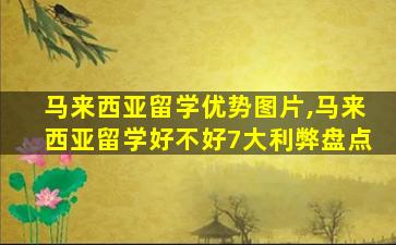 马来西亚留学优势图片,马来西亚留学好不好7大利弊盘点