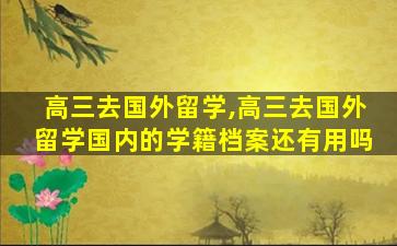 高三去国外留学,高三去国外留学国内的学籍档案还有用吗