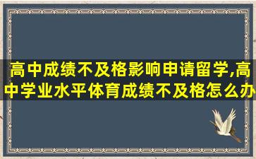 高中成绩不及格影响申请留学,高中学业水平体育成绩不及格怎么办