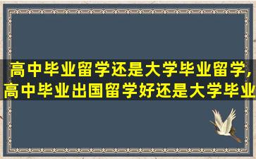 高中毕业留学还是大学毕业留学,高中毕业出国留学好还是大学毕业出国留学好