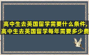 高中生去英国留学需要什么条件,高中生去英国留学每年需要多少费用