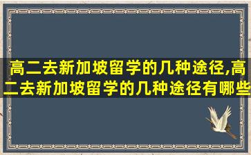 高二去新加坡留学的几种途径,高二去新加坡留学的几种途径有哪些