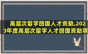 高层次留学回国人才资助,2023年度高层次留学人才回国资助项目