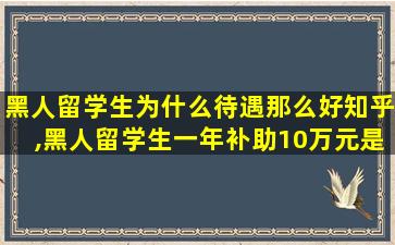 黑人留学生为什么待遇那么好知乎,黑人留学生一年补助10万元是真的吗