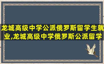 龙城高级中学公派俄罗斯留学生就业,龙城高级中学俄罗斯公派留学条件